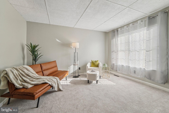 living area with a drop ceiling and carpet floors