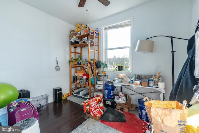 miscellaneous room with hardwood / wood-style floors and ceiling fan