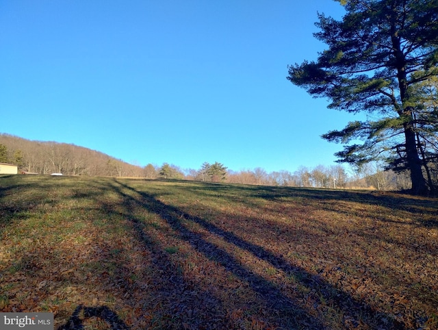 view of yard featuring a rural view