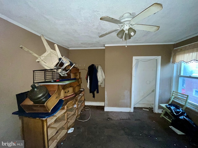 interior space featuring a textured ceiling, ceiling fan, and crown molding