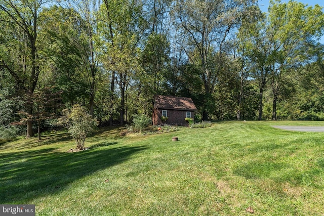 view of yard with a shed