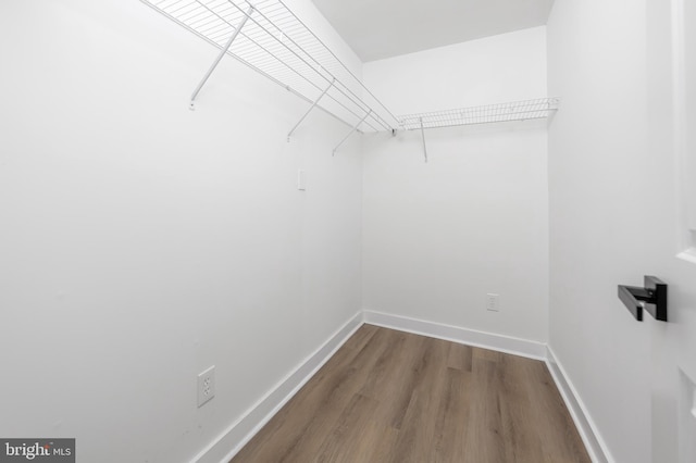 walk in closet featuring wood-type flooring