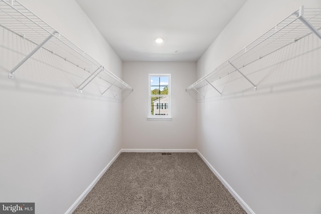 spacious closet featuring carpet flooring