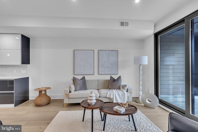 living room featuring light hardwood / wood-style floors