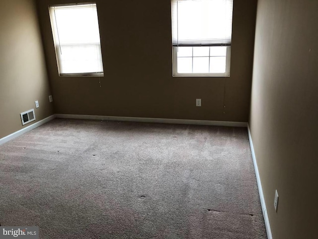 unfurnished room with carpet and a healthy amount of sunlight