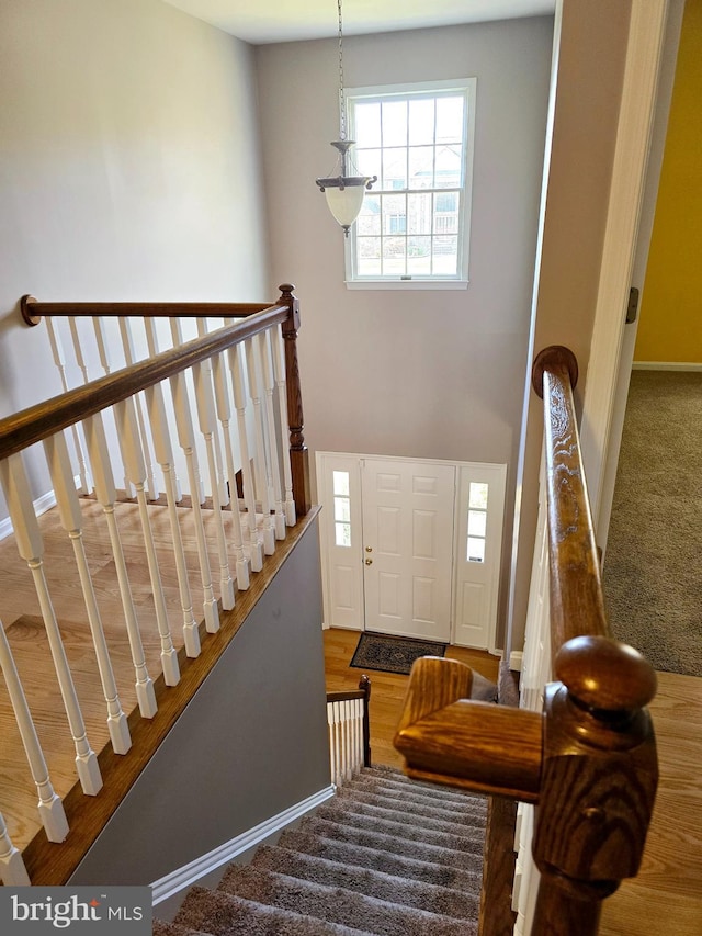 entryway with carpet floors