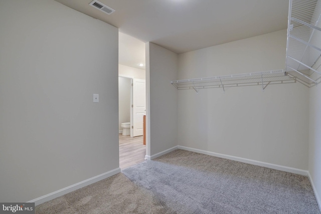 spacious closet with light colored carpet