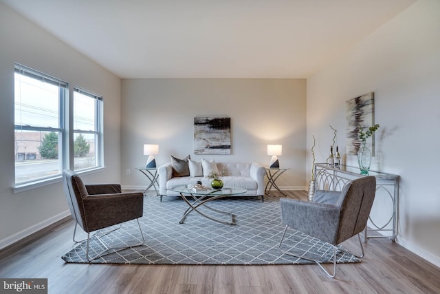 living room featuring wood-type flooring