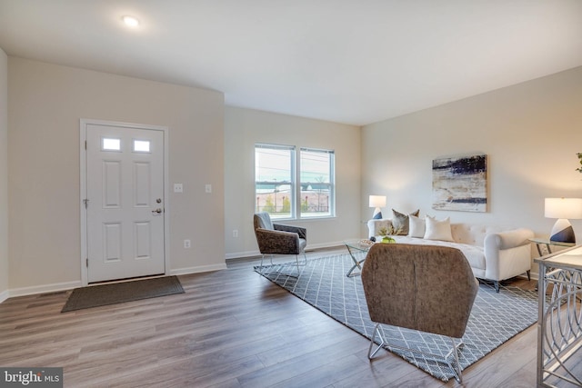 living room featuring wood-type flooring