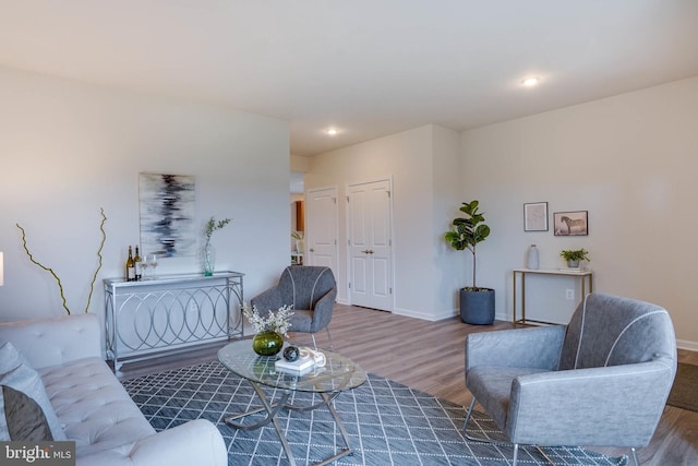 living room featuring hardwood / wood-style flooring