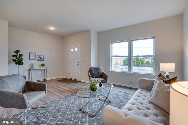 living room featuring hardwood / wood-style flooring