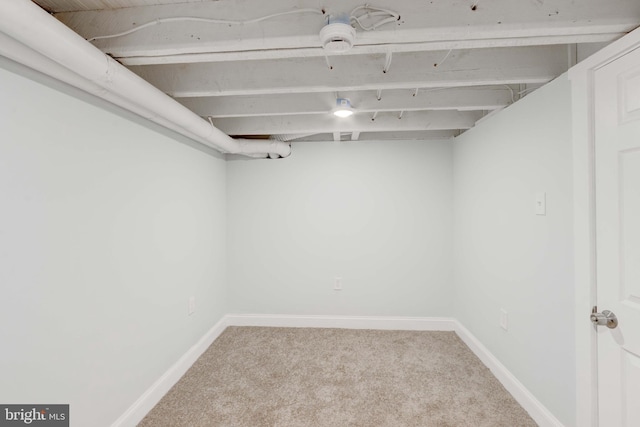 basement featuring carpet floors