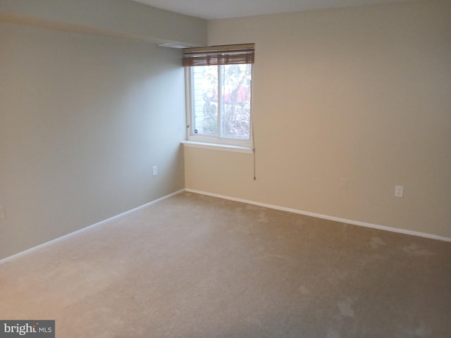 spare room with carpet