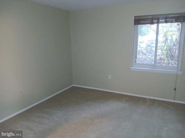 unfurnished room with carpet