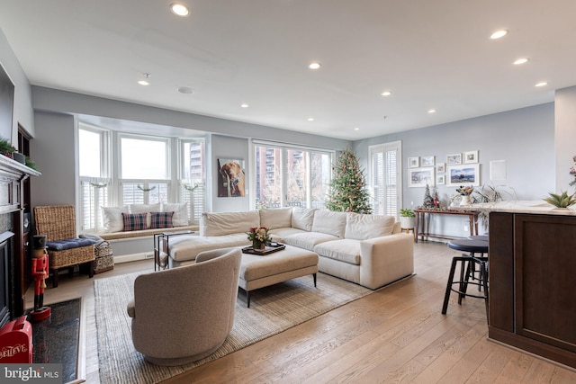 living room with light wood-type flooring