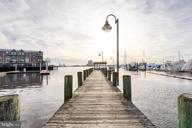 dock area with a water view