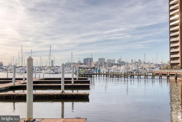 dock area featuring a water view