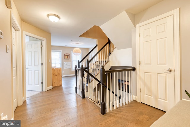 interior space with hardwood / wood-style flooring