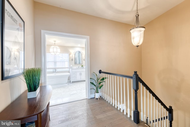 corridor with hardwood / wood-style floors