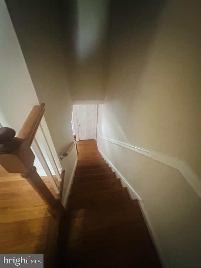 staircase featuring hardwood / wood-style flooring