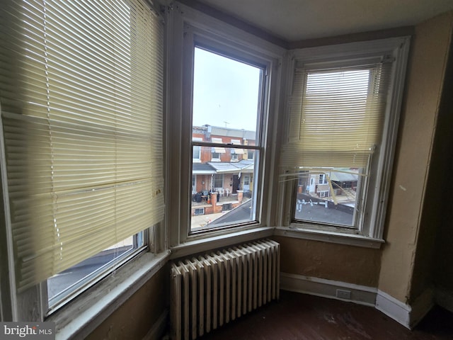 room details featuring radiator