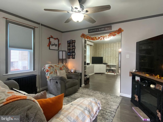 living room with hardwood / wood-style floors, ceiling fan, radiator heating unit, and crown molding