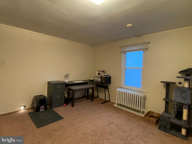 miscellaneous room featuring carpet floors and radiator