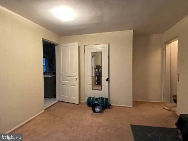 interior space with carpet and ornamental molding