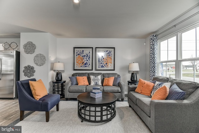 living room with hardwood / wood-style floors