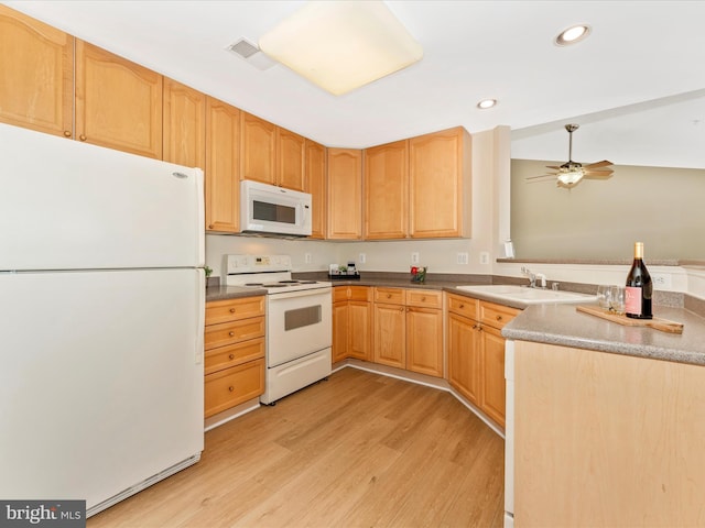 kitchen featuring white appliances, light hardwood / wood-style floors, ceiling fan, and sink