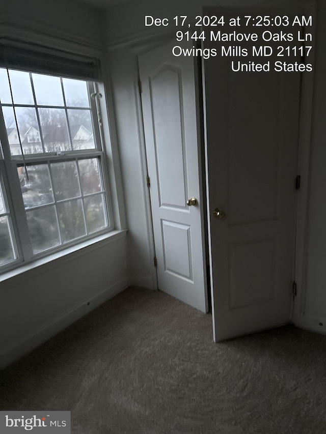 unfurnished bedroom featuring carpet flooring