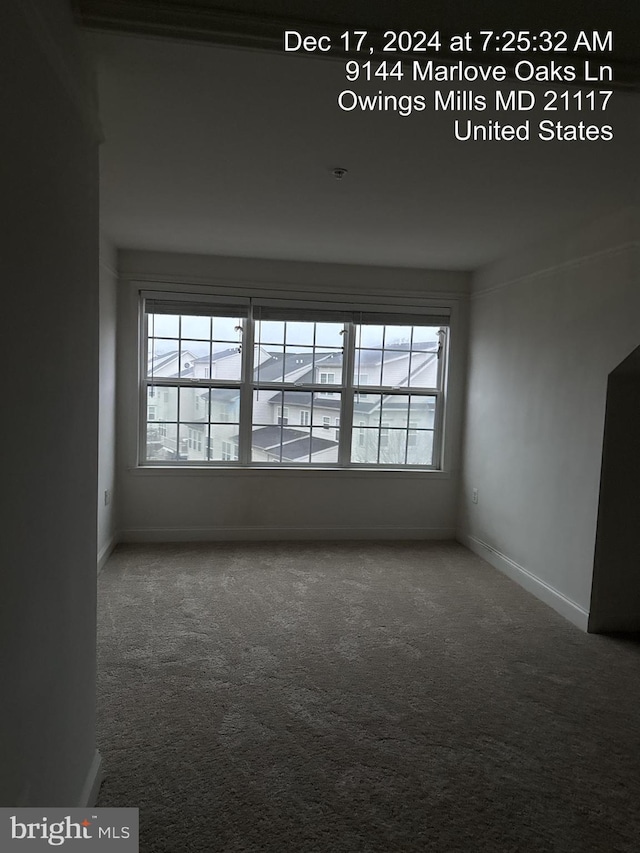 carpeted spare room featuring a wealth of natural light