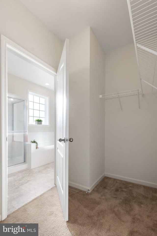 walk in closet with light carpet