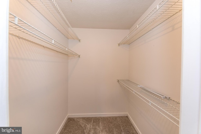 spacious closet with carpet