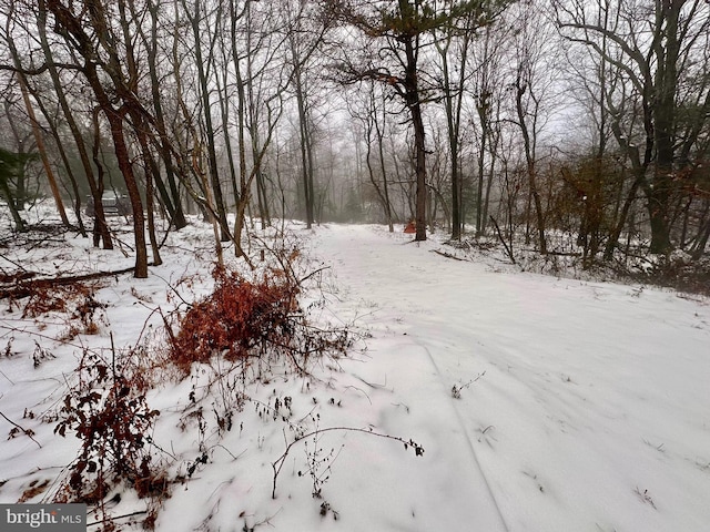 view of snowy landscape