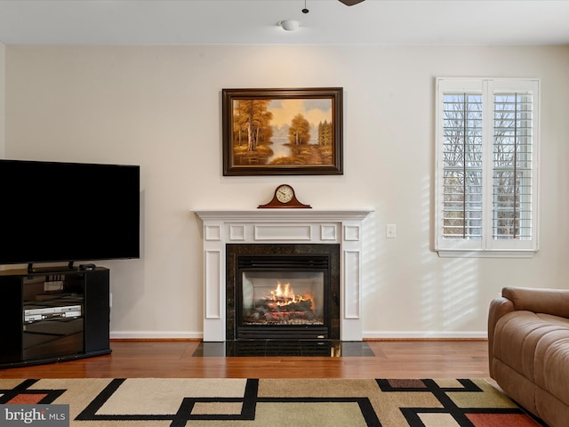 living room with hardwood / wood-style floors