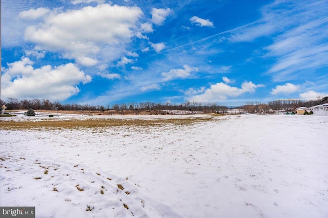 view of yard layered in snow