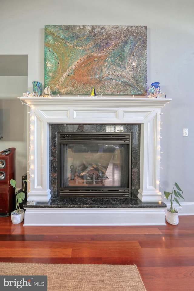 details with a high end fireplace and hardwood / wood-style flooring