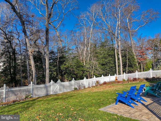 view of yard with a patio area