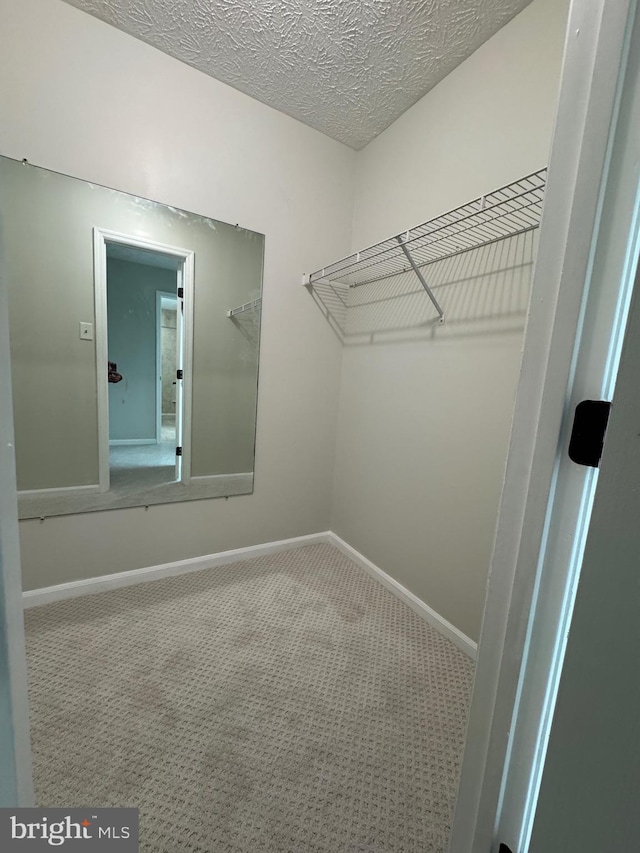 spacious closet with carpet