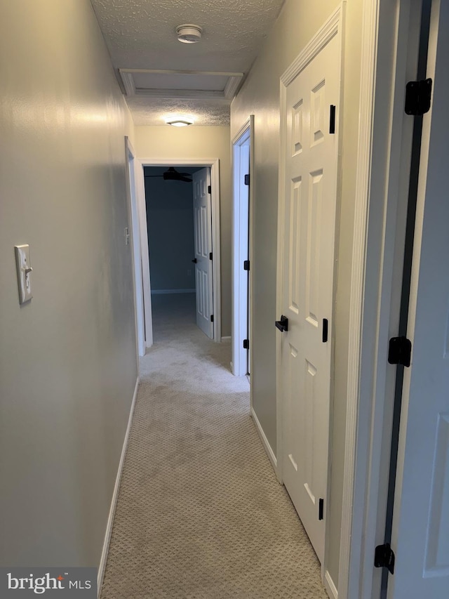 hall featuring light colored carpet and a textured ceiling