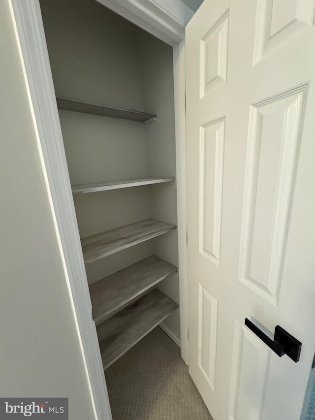 view of closet