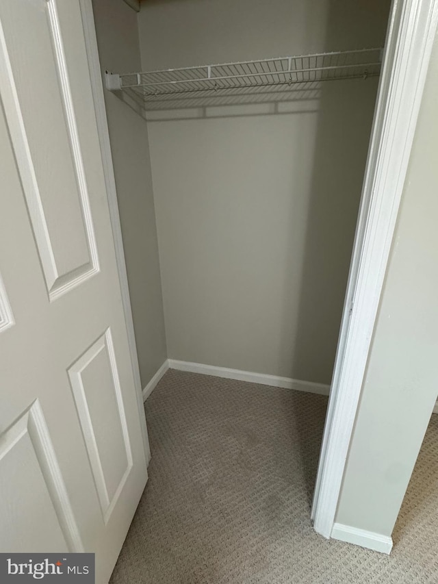 view of closet