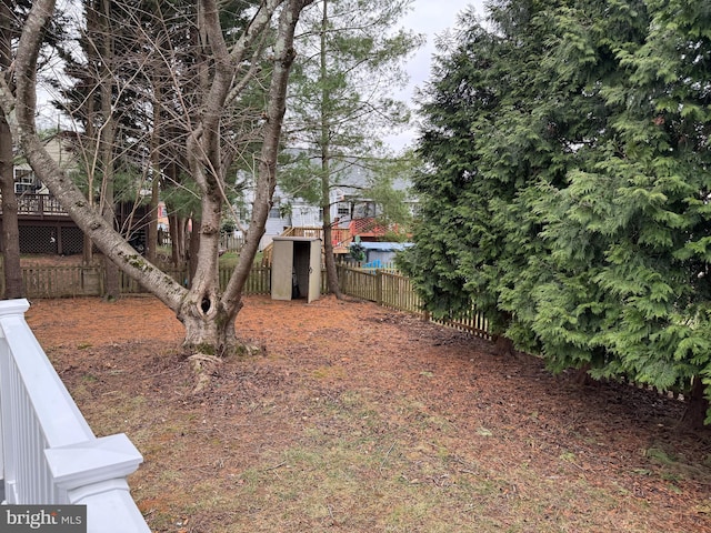 view of yard with a shed