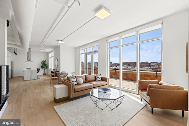 living area featuring a view of city, floor to ceiling windows, and light wood-type flooring