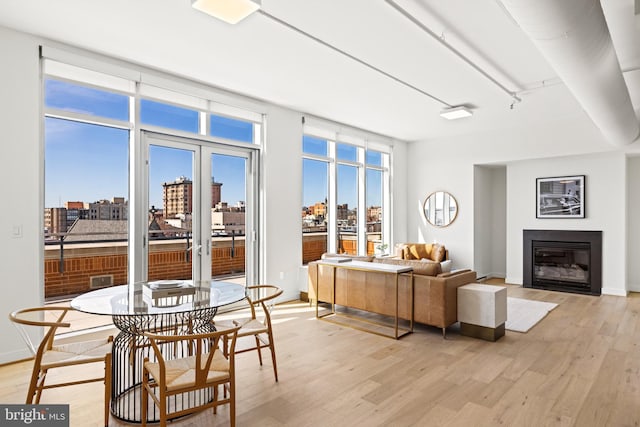 living room with a glass covered fireplace, a view of city, a healthy amount of sunlight, and light wood-style flooring