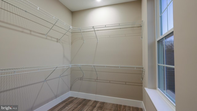 walk in closet with wood-type flooring