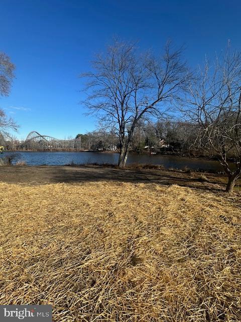 view of yard with a water view