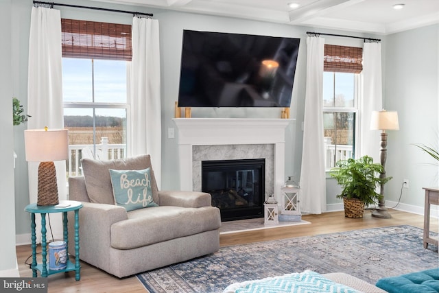 living area with beam ceiling, a fireplace, and light hardwood / wood-style flooring