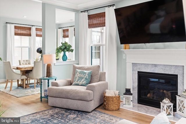 living room featuring wood-type flooring, a wealth of natural light, and a high end fireplace